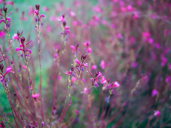 Quelles sont les meilleures pinces de cuisine pour retourner la viande sur le grill?